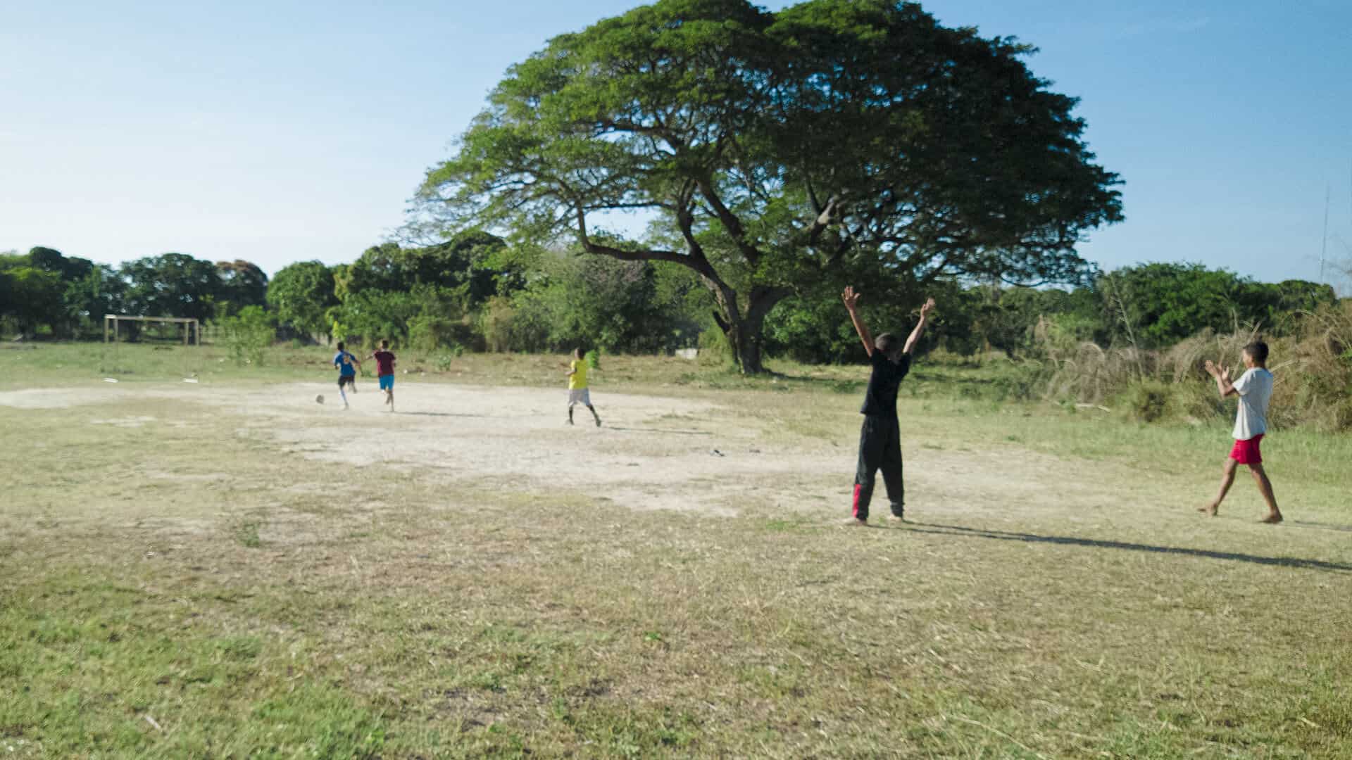 Niños jugando fútbol en un campo abierto bajo un gran árbol en Apure, Venezuela, con cielo despejado y ambiente natural, promoviendo el periodismo constructivo y el desarrollo comunitario en la región.